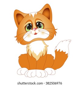 Sitting red tabby kitten