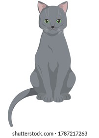 Sitting Russian Blue cat. Beautiful pet in cartoon style.