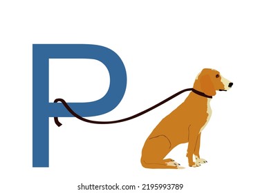 Sitting Schiller hound dog parking vector illustration isolated on white background. Schillerstovare. Beware of dog. Urban scene sign. Safety place on street for pet waiting owner after shopping.