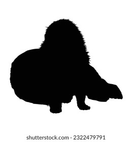 Sitting Sea Otter Silhouette. Good To Use For Element Print Book, Animal Book and Animal Content