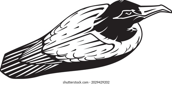 A sitting seagull. Black and white vector stylized illustration.
