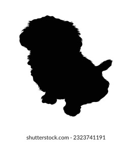 Sitting Shih Tzu Silhouette Good To Use For Element Print Book, Animal Book and Animal Content svg
