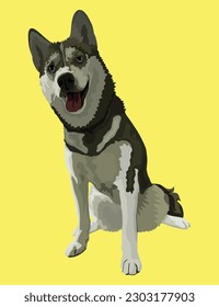 A sitting Siberian Husky on floor in vector. Puppy or dog character design for book, background, and illustration.