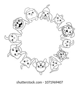 sitting small dogs and cats looking up circle