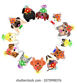 sitting small dogs and cats with party hats looking up circle