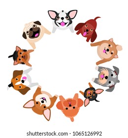 sitting small dogs looking up circle