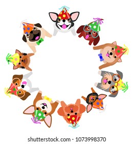 sitting small dogs with party hats looking up circle