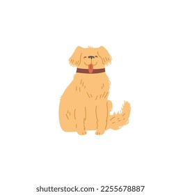 Sitting smiling adorable dog or puppy flat cartoon vector illustration isolated on white background. Cute funny and fluffy dog in collar cartoon character.
