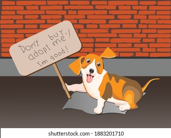 Sentado el perro callejero con un afiche Adopta, no compre. Ilustración vectorial para ayudar a los animales sin hogar a encontrar un hogar.