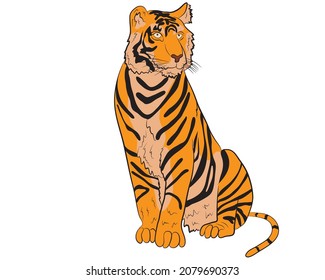 Sitting tiger in isolate on a white background. Year of the tiger.Vector illustration.