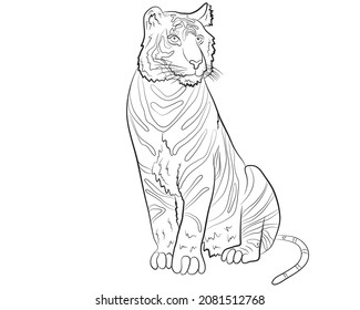 Sitting tiger in isolate on a white background. Year of the tiger.Vector illustration.