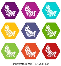 Sitting turtle icons 9 set coloful isolated on white for web