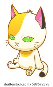 Sitting weird kitten