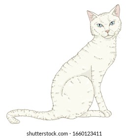 Sitting White Cat. Vector Single Cartoon Illustration