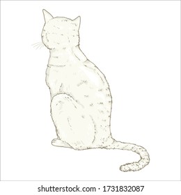 Sitting White Cat. Vector Single Cartoon Illustration. Back View.