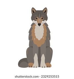 Sitting Wolf icon. Wild gray wolf forest animal. Canis lupus. Vector illustration isolated on white background.