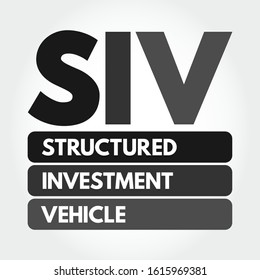 SIV - Structured Investment Vehicle acronym, business concept background