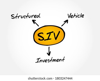 SIV - Structured Investment Vehicle acronym, business concept background
