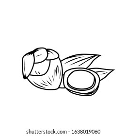Siwalan fruit black and white vector for all purpose