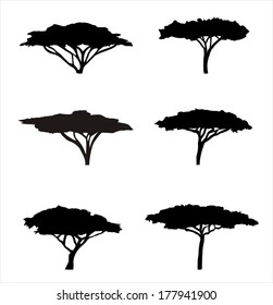 Six acacia silhouettes