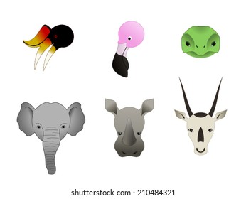 Six Animal Faces