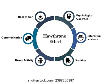 Six aspects of Hawthorne Effect - Psychological contract, Interest in workers, Socialize, Group Activity, Communication, Recognition. Infographic template with icons