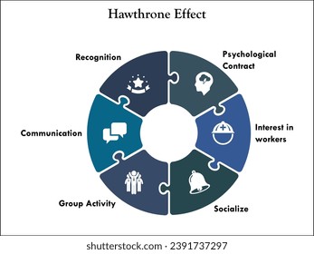 Six aspects of Hawthorne Effect - Psychological contract, Interest in workers, Socialize, Group Activity, Communication, Recognition. Infographic template with icons