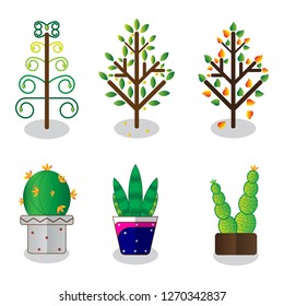 Six Beautiful Trees Full Colour