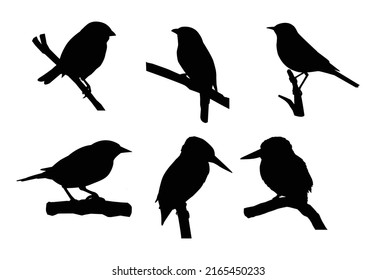 Six birds Silhouettes Premium vector template