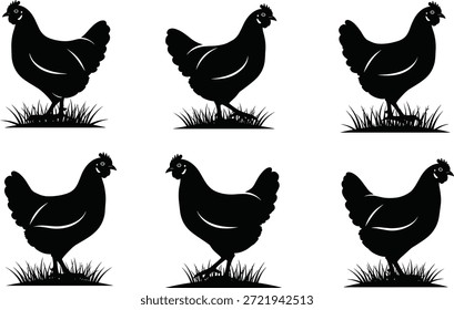 Six black chicken silhouettes standing in grass