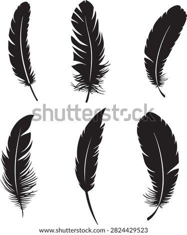 Six black feather silhouettes on white background quill