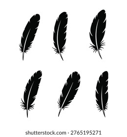 Six black feathers on white background