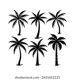 Six Black Silhouette Palm Tree Vector Illustrations Set Tropical Plants Simple Design Elements Isolated White Background