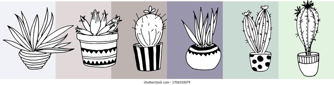 seis cactus en blanco y negro sobre fondo morado degradado