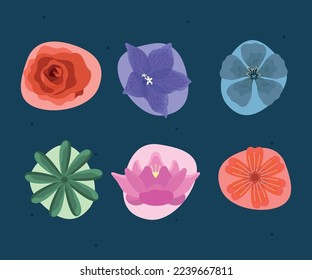 six botanic flowers garden decoration