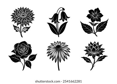 Six bundle Beautiful Flower vector- Asters, Bluebell flower, Cuphea Hyssopifolia, Rose, Indian Paintbush flower, Sun-flower