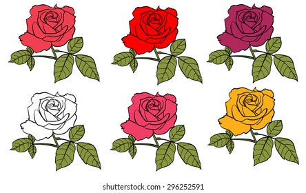 six color rose flower vector