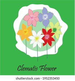 six colorful clematis flowers with green stalks with light blue frames on dark green background