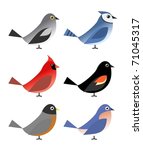 Six common north american birds