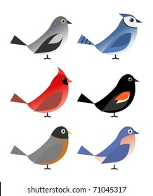 Six common north american birds