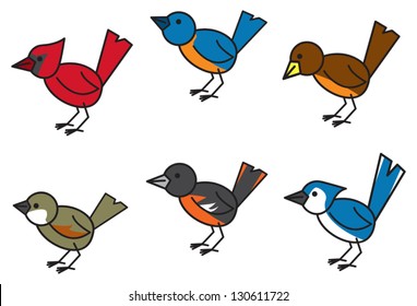 Six common and popular birds found throughout north american residential areas.