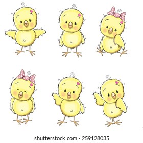 Six cute chicks isolated on a white background