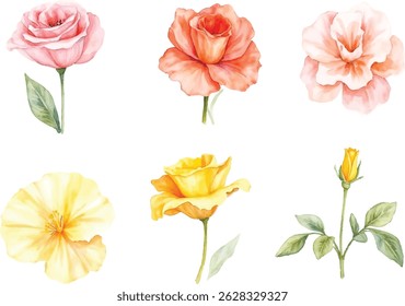 Six delicate watercolor floral illustrations featuring roses in soft pink, peach, and yellow hues, along with a yellow rosebud and leaves, isolated on a white background.