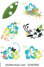 Six design elements with Hawaiian flowers on summer theme isolated on white