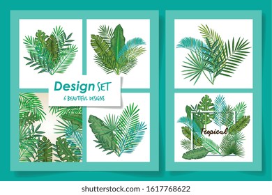 six designs of tropicals leafs vector illustration design