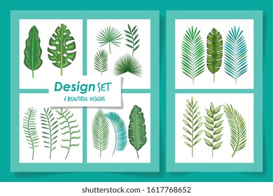 six designs of tropicals leafs vector illustration design