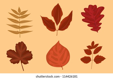 six different autumn leaves