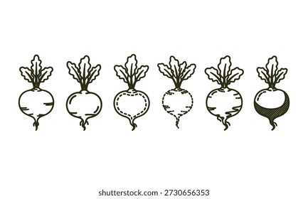 Six different illustrated beetroot icons in various line styles