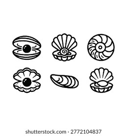Six different seashell line art illustrations
