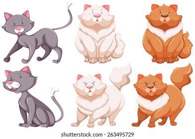 cartoon skinny cat